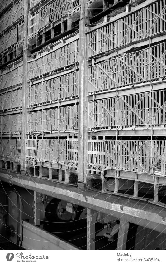 Bars of a large cattle truck for poultry in the village of Maksudiye near Adapazari in the province of Sakarya in Turkey, photographed in neo-realistic black and white