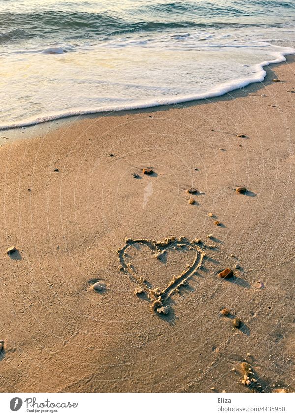 Kitschy heart painted in sand on beach with sea Beach Heart tawdry Ocean Sand vacation Honeymoon romantic Love wave Romance Water Relaxation