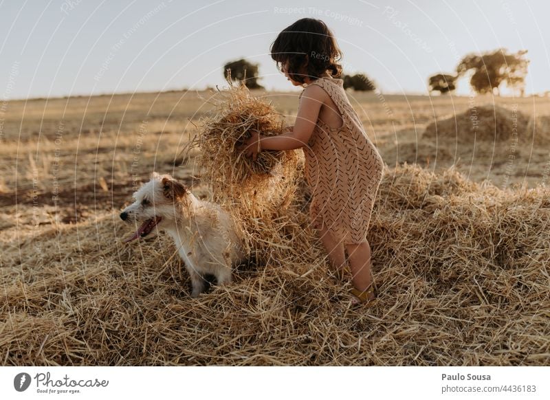 Cute girl playing in the fields with dog Child childhood Girl 1 - 3 years Caucasian Authentic Pet Dog Together togetherness Colour photo Happiness Life
