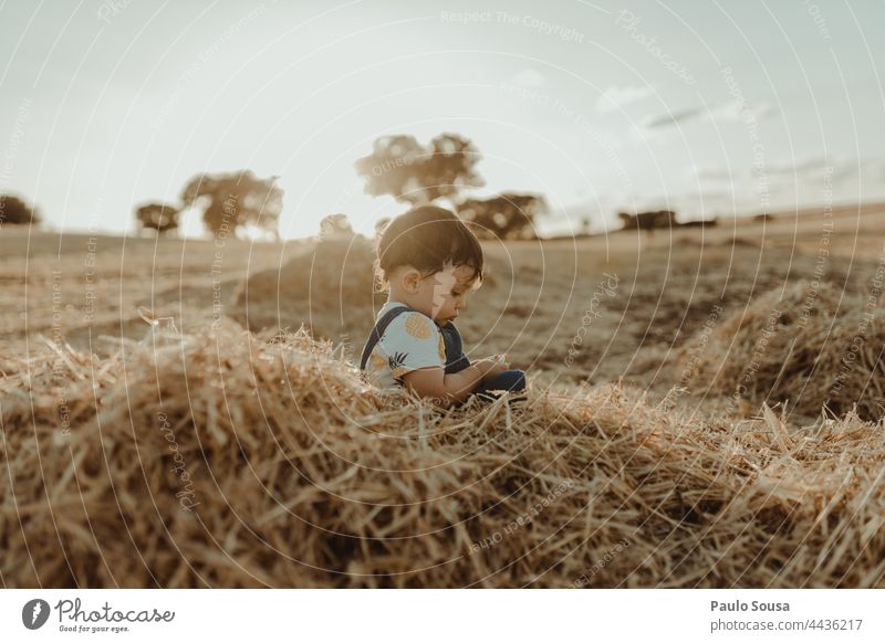 Child playing with hay childhood Boy (child) 1 - 3 years Caucasian side view Summer Sunlight Hay Exterior shot Childhood memory Playing Day Colour photo Infancy