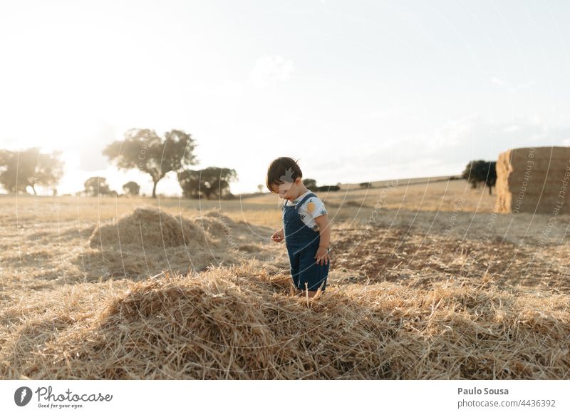 Cute girl playing with hay Child 1 - 3 years Boy (child) Caucasian Lifestyle Playing Day Exterior shot Human being Toddler Colour photo Infancy Field Hay