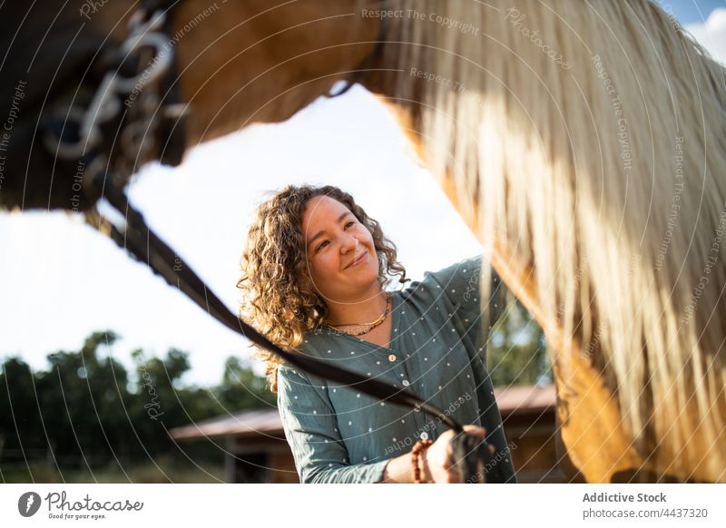 Smiling woman caressing horse muzzle in sunshine stallion equine animal fauna livestock smile countryside content riding school mammal idyllic harmony fondness