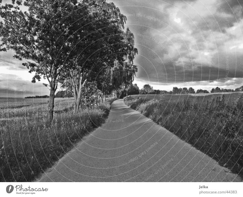The way to happiness Clouds Storm clouds Tree Grass Field Forest Street Lanes & trails Dark Cornfield Wheatfield Asphalt Grain Black & white photo