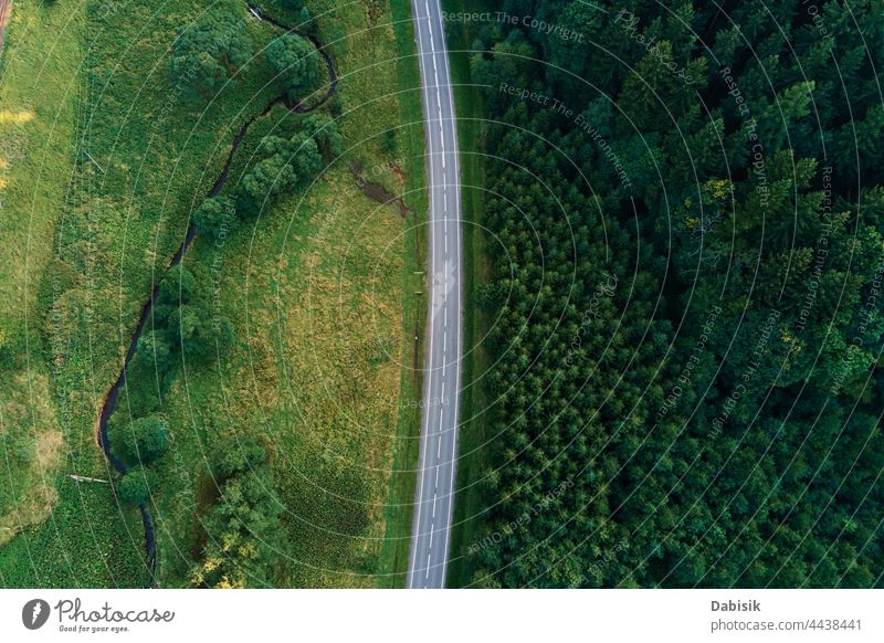 Car moving on road through pine tree forest, aerial view car trip nature green adventure travel landscape outdoor path above beautiful park way country freeway