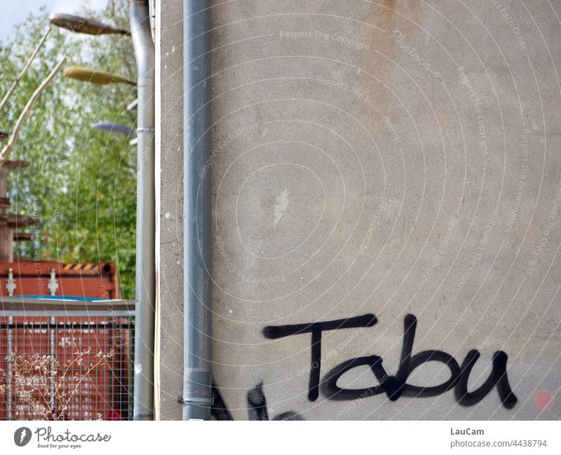 Taboo - Graffiti on a vacant house writing Characters House (Residential Structure) Building Wall (building) Letters (alphabet) Vacancy housing housing shortage