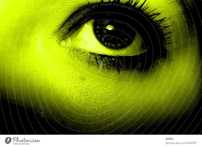 eye Face Woman Adults Eyes Yellow Green Eyelash Pupil Greeny-yellow Detail Shadow Looking