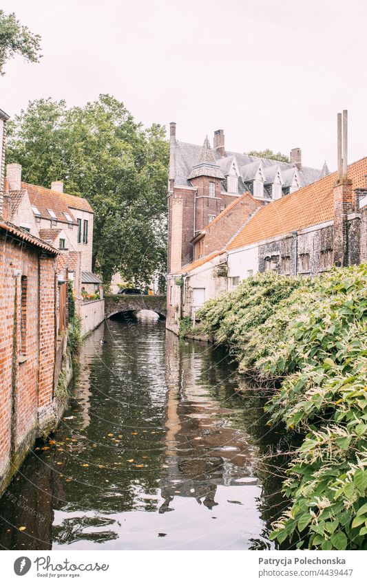 Canal in Bruges, Belgium with its old Medieval architecture canal bruges City medieval Architecture houses Water Bridge European