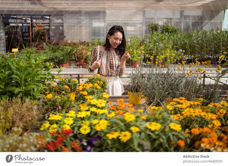 Smiling Asian buyer choosing blooming flowers in garden shop shopper pick smile natural plant vegetate woman botany choose ornament blouse cheerful content