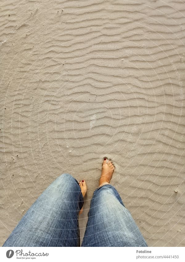 Walking barefoot along the beach. The bare feet touch the soft warm sand. Barefoot Feet Toes Human being Legs Skin Summer Sand beach sand Walk on the beach