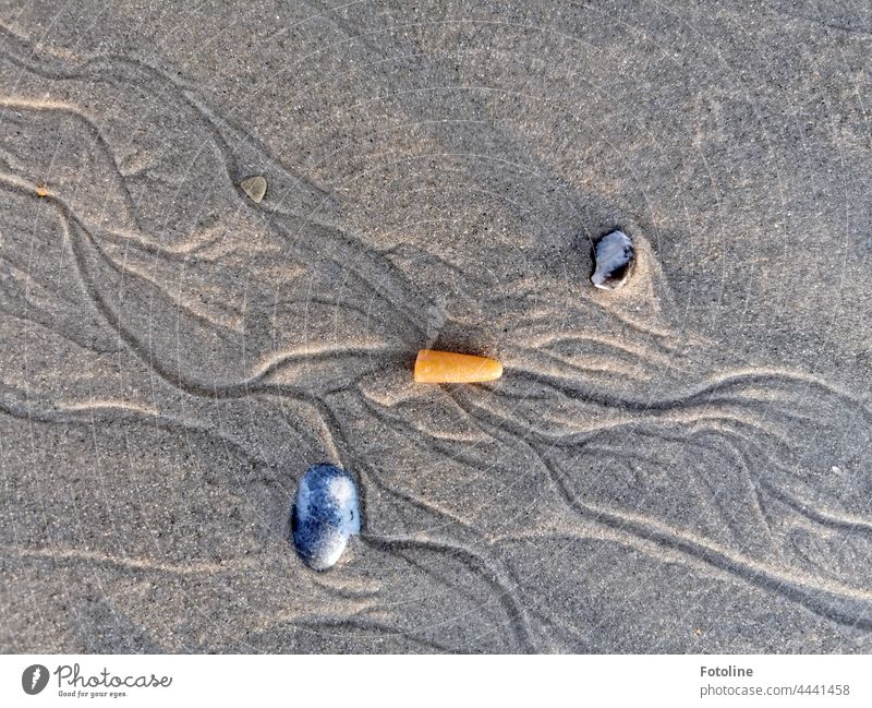And this treasure, I often found on the beach of the helgoland dune. A thunderbolt. Stone Pebble pebble pebbles Tideway Beach Gray Close-up Sand Deserted Brown