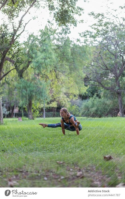 Concentrated female performing Tittibhasana while doing yoga in park woman practice firefly pose tittibhasana balance activity harmony energy wellness focus