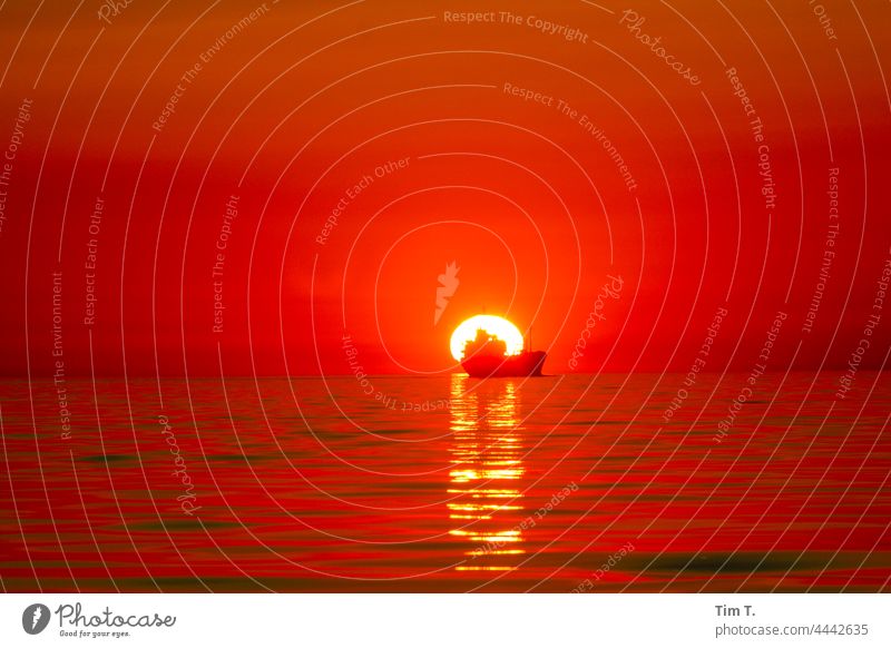 a merchant ship sails straight into the sunset seafaring Baltic Sea Sunset Sunlight Ocean Horizon Water Waves waves Sky Nature water seaside sky Lake Seafaring,
