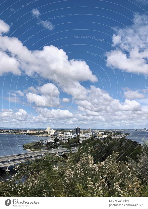 Perth and Swan river Western Australia City City life Clouds cloudy weather Sky Bridge scenic Day Skyline River Water Town Colour photo Trees greenery
