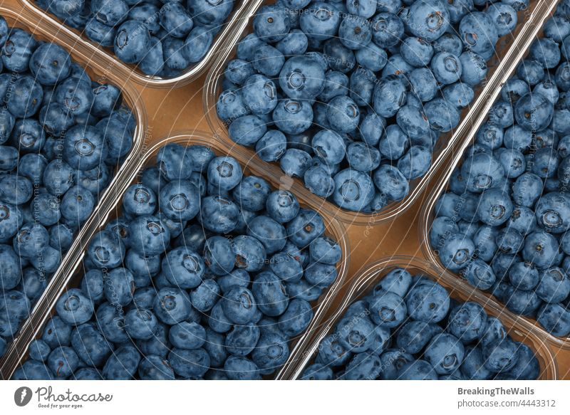 Close up fresh blueberry in container Blueberry berries box plastic carton cardboard brown closeup fruit produce food ripe retail display harvest crop