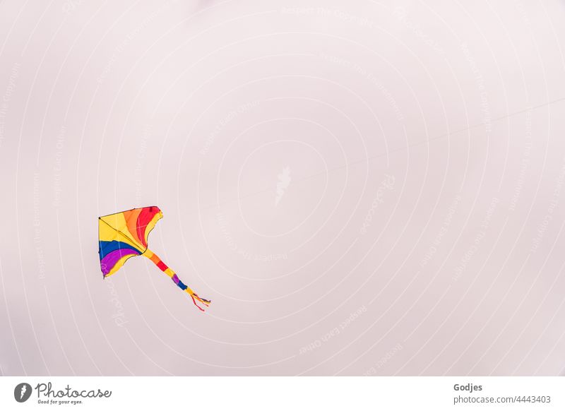 Colorful kite in the cloudy sky in autumn kites Hang gliding fly a kite Clouds Sky Joy Dragon Flying Playing Leisure and hobbies Wind Blue Infancy Kite Air