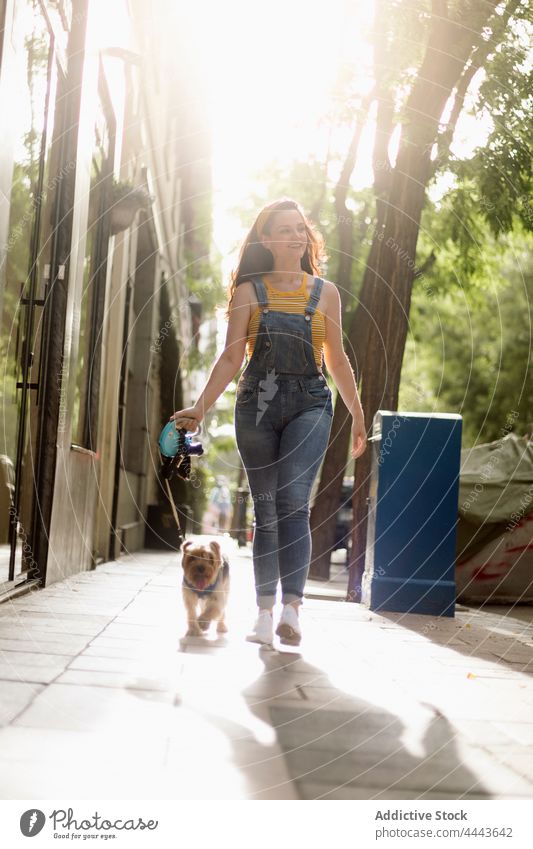 Smiling woman walking with purebred dog on leash owner yorkshire terrier pet puppy enjoy positive obedient female canine animal domestic tongue out pedigree