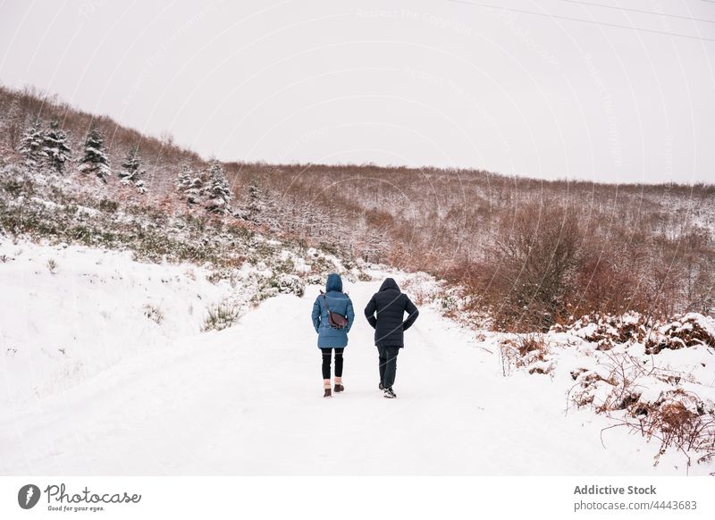 Friends in outerwear walking on snowy pathway against snowy hill in daytime traveler friend nature winter forest cold cloudy season tree weather woods