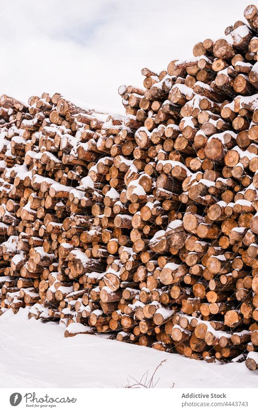 Stack of logs on snowy ground pile firewood timber winter heap nature resource industry stack cloudy environment cold tree hill cut woodpile storage stock