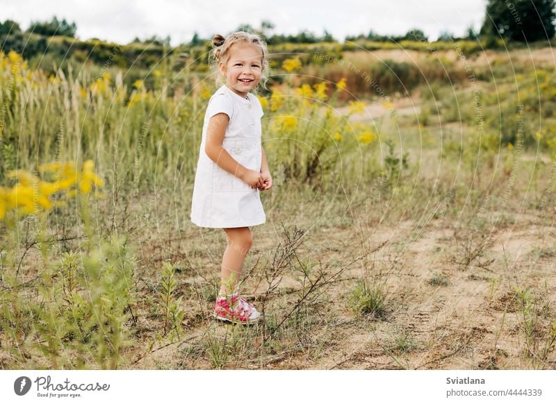 A happy little girl in a white dress stands on a field with yellow flowers and smiles on a warm day child spring beauty summer person cute people meadow green