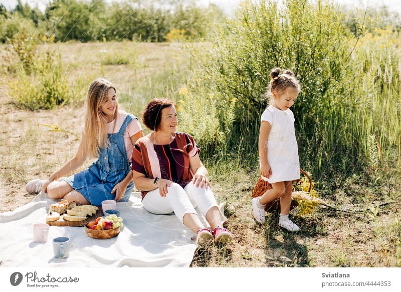 A grandmother and her two granddaughters have a picnic in nature, spend time together on weekends family summer child park childhood relationship grandma