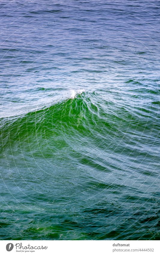 Green wave breaks on blue sea Ocean Summer Water ocean vacation Nature Blue coast Vacation & Travel Waves Tourism Relaxation Freedom undulating High tide
