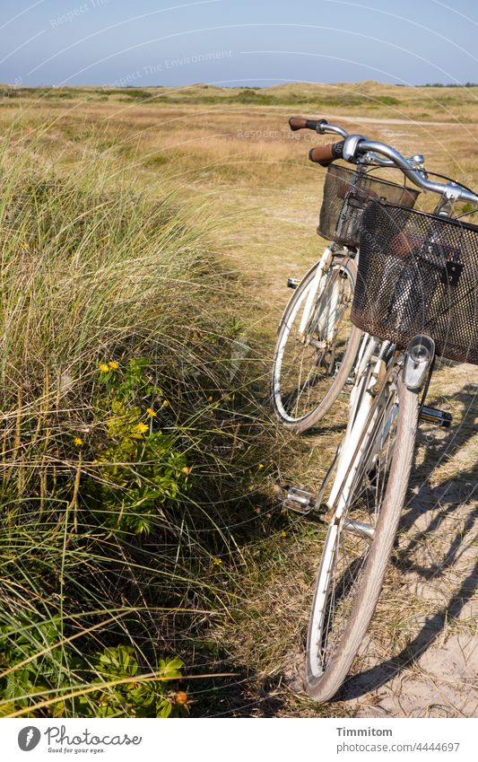 Get to the dune by bike Bicycle Cycling Plain Heathland Lanes & trails Sky Blue Shadow grasses Green Denmark turned off Sand bicycle basket Deserted