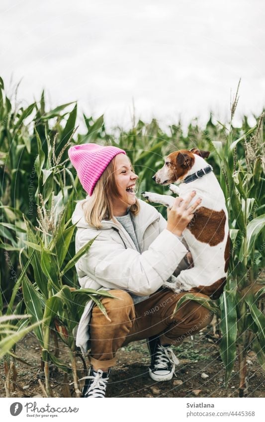 Happy teenage girl hugging her dog Jack Russell terrier in a field against a background of a cornfield in autumn teenager pink childhood pet people person