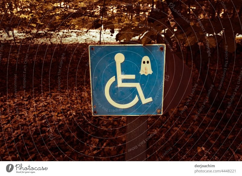 Mysterious ghost masks for wheelchair users Wheelchair Colour photo Deserted Exterior shot Handicapped Disability friendly Signs and labeling Parking lot Day