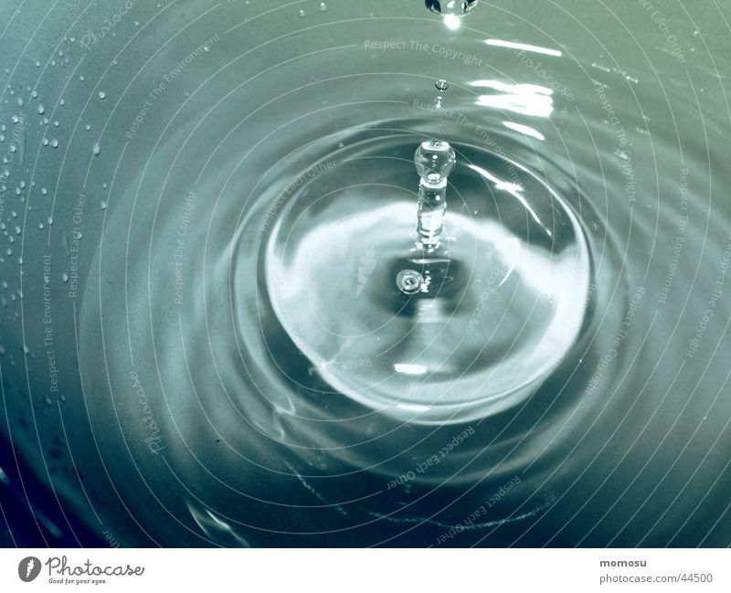 drip...drip...drip... Wet Circle Water Drops of water
