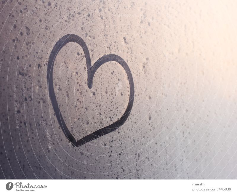 declaration of love Climate Weather Emotions Heart Sincere Love Declaration of love Symbols and metaphors Dew in the morning Colour photo Exterior shot