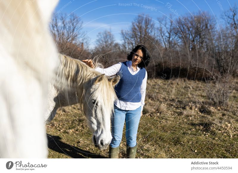 woman stroking horse muzzle animal adult stroke standing female young smiling love happy countryside leisure hobby sunlight lifestyle caress equine fauna
