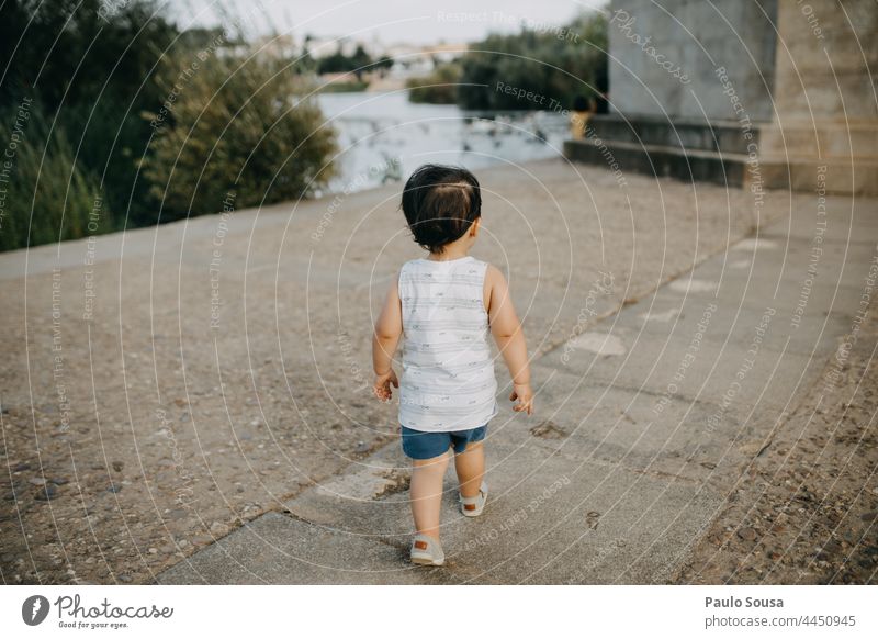 Rear view child walking Child childhood 1 - 3 years Caucasian Summer Summer vacation Day Toddler Lifestyle Leisure and hobbies Human being Exterior shot