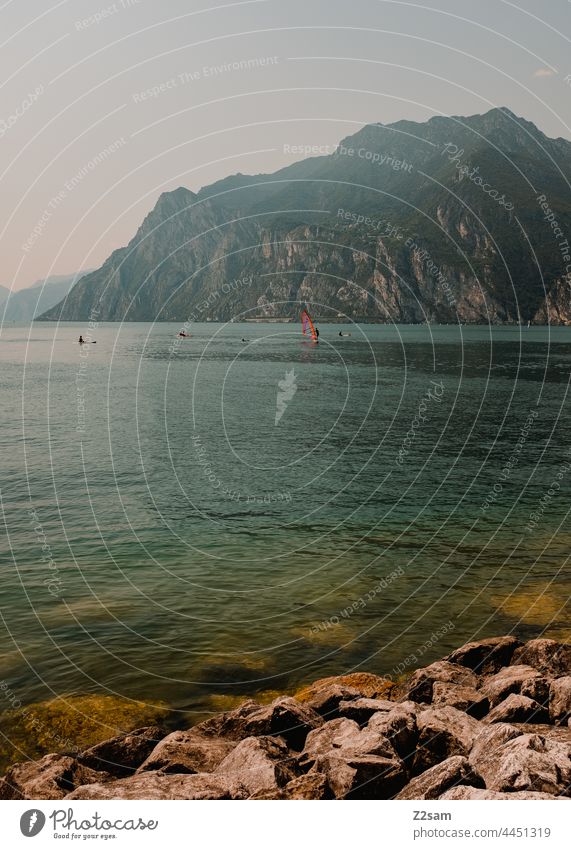 Gardasee / Torbole gardasee vaction urlaub sommer sonne wärme Mediterranean reise Natur norditalien erholung freizeit Freiheit Landschaft torbole surfer