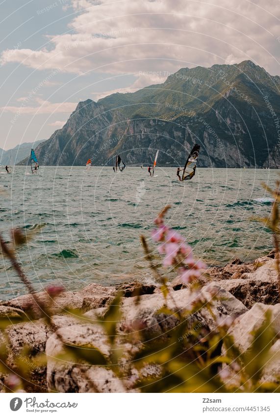 Gardasee / Torbole gardasee vaction urlaub sommer sonne wärme gebirge berg lift spiegelung Mediterranean reise Natur norditalien erholung freizeit Freiheit