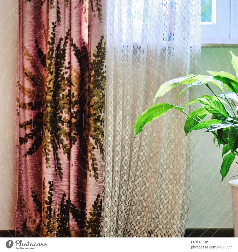 homely still life with curtains, view, light and single leaf Still Life at home Homey dwell Window Light Curtain Drape Point outlook Lucky Feather