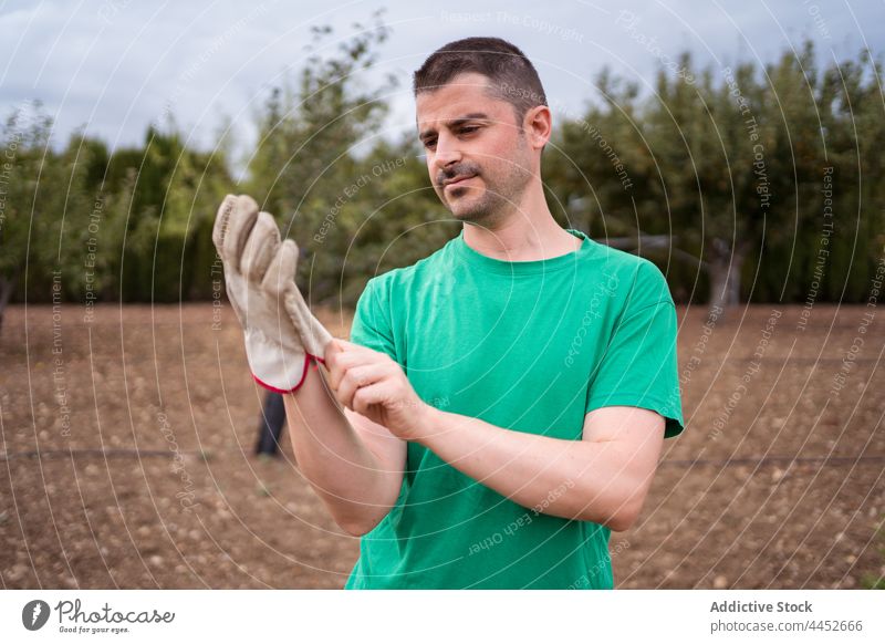 Gardener putting on glove on land in countryside gardener put on prepare attentive natural protect terrain man environment horticulturist focus serious t shirt