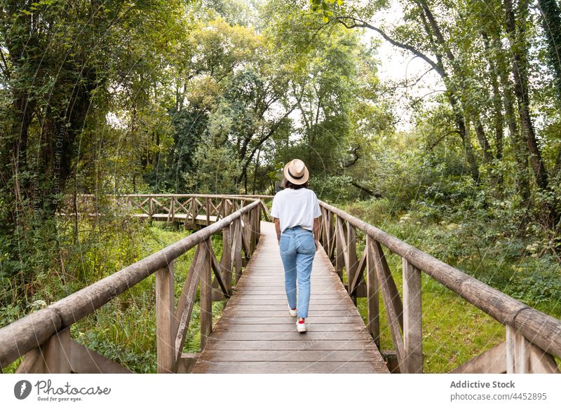 Woman contemplating green trees from footbridge in summer woman walk anonymous contemplate nature landscape environment ecology route direction fence natural