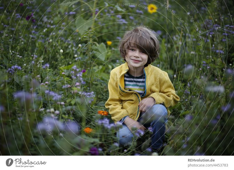 Child sitting in a flower meadow Meadow Infancy flowers Flower meadow Nature Plant Summer Green Blossoming Exterior shot Happy fortunate naturally Contentment