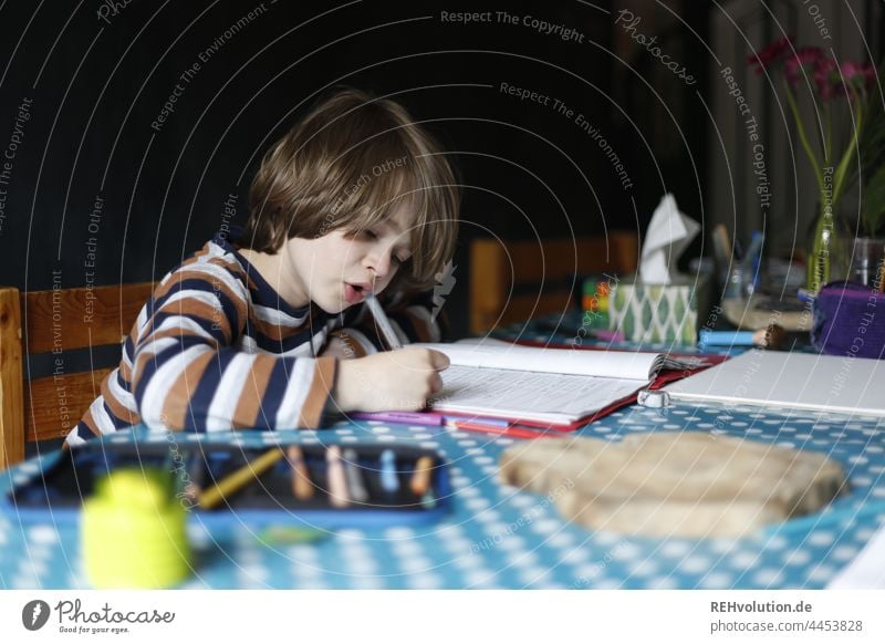 Child doing homework Homework Homeschooling School Study Diligent diligence Write Education Infancy school time labour Concentrate concentrated pens Table Chair