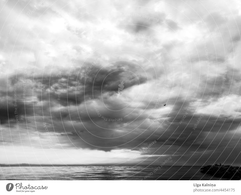 Sky in black and white Clouds Weather Clouds in the sky Nature Landscape Cloud formation Cloud cover Climate Sunlight Black & white photo seascape Water