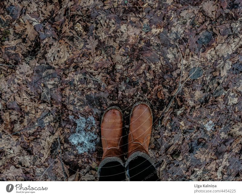 High angle view of boots and foliage, Autumn leaves Leaves Autumnal colours nature autumn Leaf autumn mood Autumnal weather Seasons autumn leaves Automn wood
