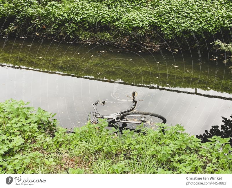A bicycle lies half submerged in a stream, at the top and bottom of the picture you can see the green embankment Bicycle Bicycle in the water Brook Vandalism