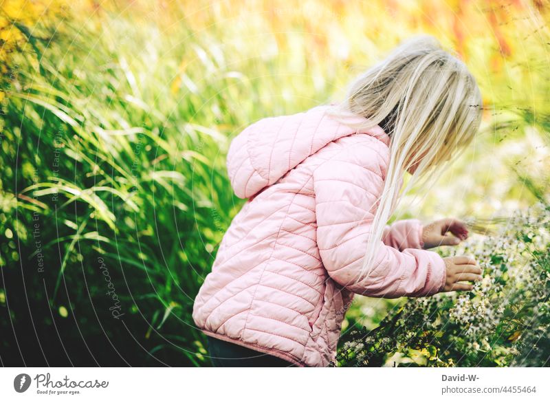 Girl looking at flowers of a flower meadow Spring Lovely Cute explore Child Summery pretty inquisitive Happy Infancy Nature cheerful Joie de vivre (Vitality)