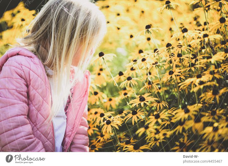 Girls looking at flowers in a flower meadow Child Flower meadow Sunlight sunshine pretty fragrances sniff Nature Cute
