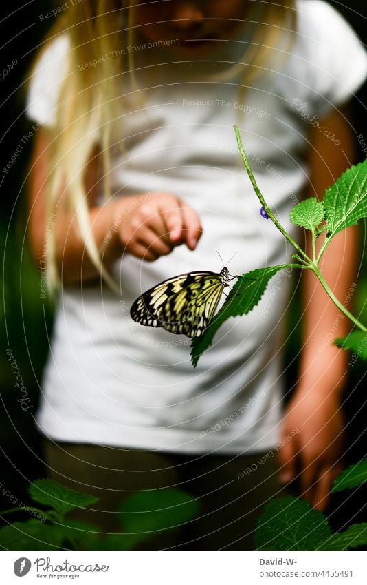 Child points to a butterfly Butterfly Nature explore Fingers Indicate Insect Animal Find inquisitorial Experiencing nature Girl Cute