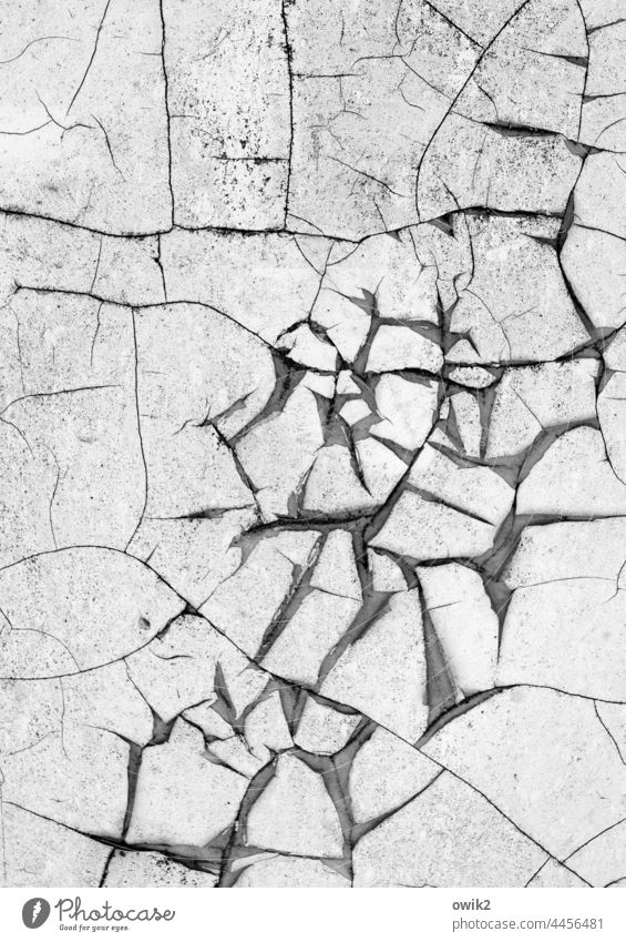 Crafty Wall (building) cracks Tracks Transience Bizarre Muddled Gray Dry Flake off Ravages of time Detail Structures and shapes Old Close-up Decline