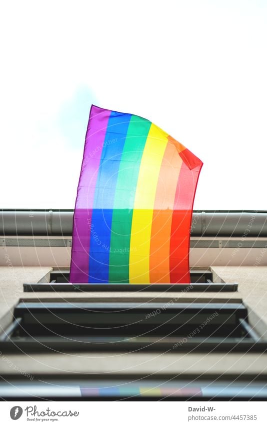 Flag in rainbow colors waving from a window flag Pridge Prismatic colors symbol miscellaneous lifestyle concept Window Blow