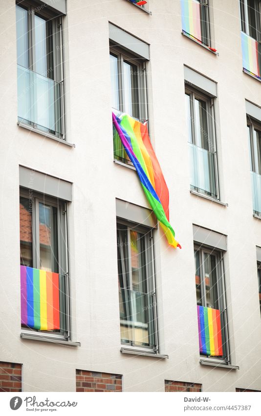 colourful flags in rainbow colours as a sign for freedom of sexual orientations variegated Prismatic colors Tolerant Window Rainbow Sign Gender identity symbol