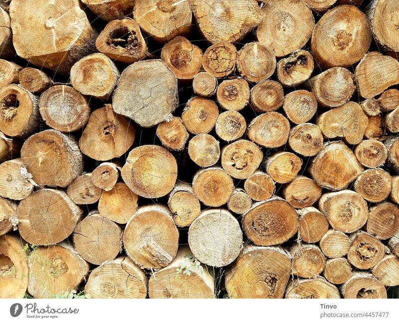 Stack of dried logs Stack of wood Wood tree trunks Dried firewood Firewood Tree Log Forestry Heap Timber Logging Fuel Environment Cut stacked Brown Supply