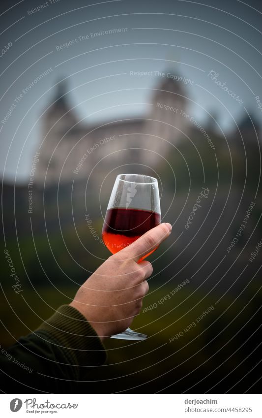 A glass of wine, in the shadow of the castle, a young woman holds up her glass in celebration. I toast with you. 900 photos on Photocase. Vine Wine glass